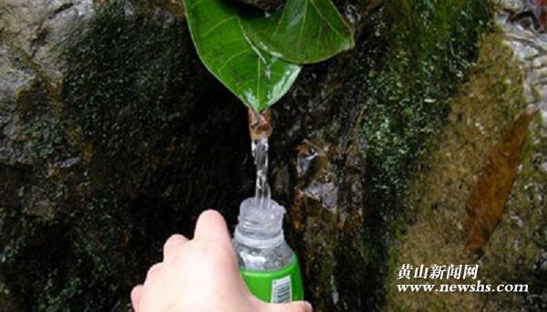 山泉水能直接饮用吗,可以直接喝的山泉水