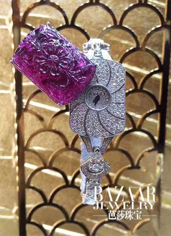 时尚新宠到底有哪些魅力,时尚界的新宠是谁