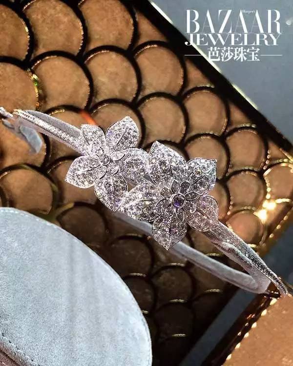 时尚新宠到底有哪些魅力,时尚界的新宠是谁