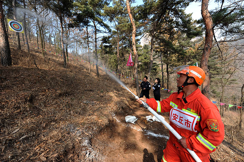 亲山近水享绿色福利,五彩鸢都创森林潍坊