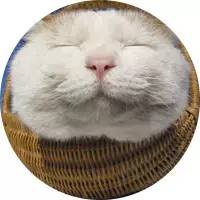 盘点那些不露脸长得很好看的网红,那些头像丑到爆的网红