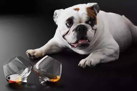 欧美高端家居店,国外最火爆的家居店