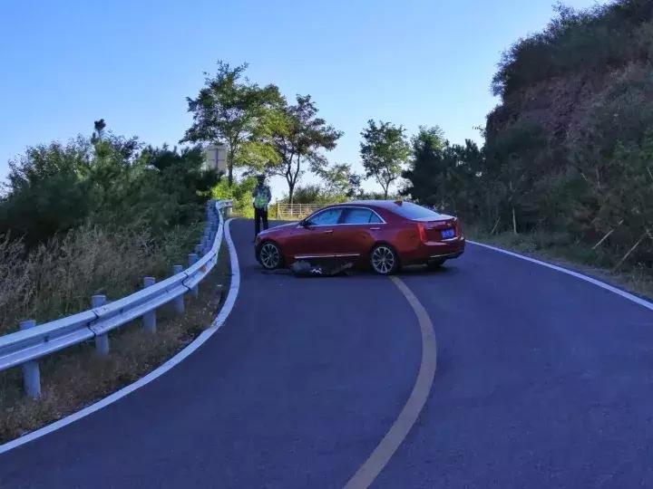 扣满12分最好的办法,扣完12分怎么处理可以学习减分吗