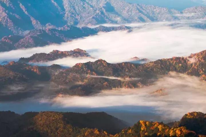 成都乐山红叶彩林,四川红叶彩林旅游节