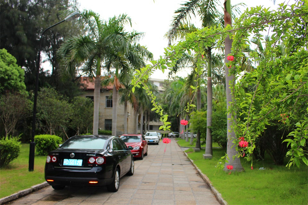 还有一座优美的小岛鼓浪屿,无敌景色厦大鼓浪屿
