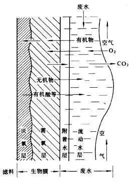 常见污水处理工艺有哪些,常用污水处理工艺有哪些