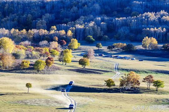 尼康d850配适马85mmf1.4art,适马小黑五代尼康d850
