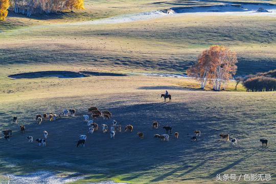 尼康d850配适马85mmf1.4art,适马小黑五代尼康d850