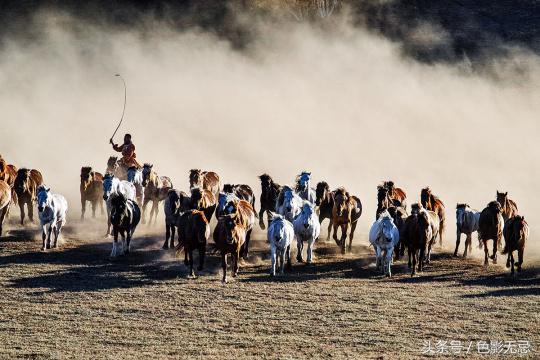 尼康d850配适马85mmf1.4art,适马小黑五代尼康d850