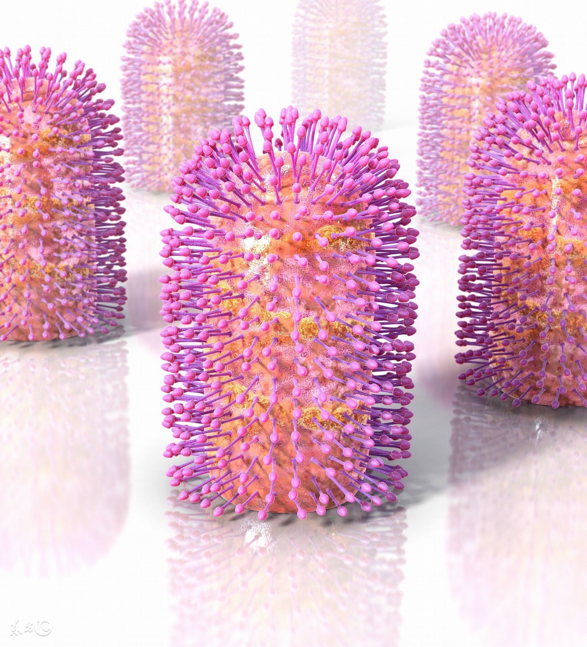 关于狂犬病的知识,关于狂犬病的科普知识