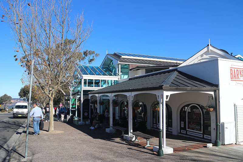 悉尼蓝山景点怎么样啊,悉尼蓝山一日游跟团