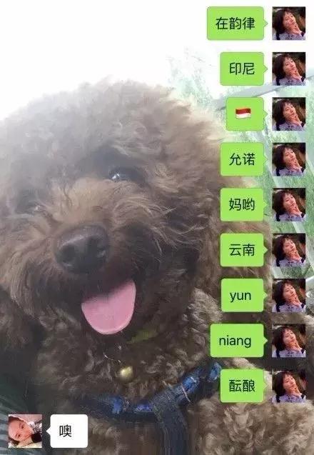 你的输入法引起过什么笑话,最新输入法笑话