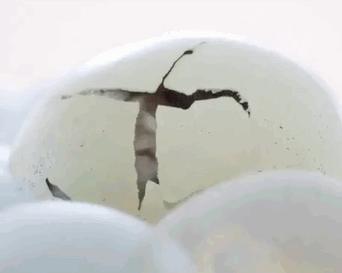 搞笑图片这么晚了还出去啊,搞笑图片年轻的我丝毫看不懂