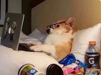 王者荣耀视频都不怎么搞笑，搞笑的都是网名！