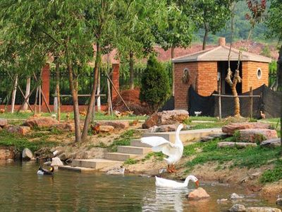 农村土地改革未来前景,城镇化农民何去何从