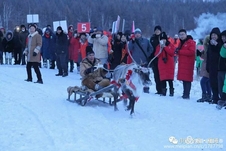 内蒙古草原旅游度假村,内蒙古敖鲁古雅景区