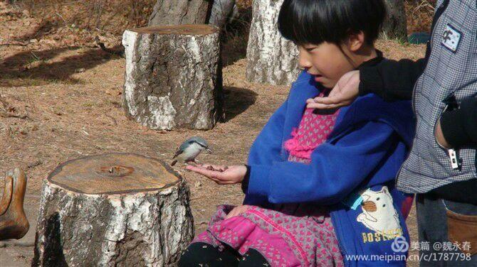 内蒙古草原旅游度假村,内蒙古敖鲁古雅景区