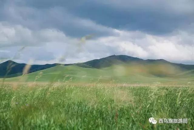 去了内蒙为什么敬酒三杯,哈达怎么接,马奶也是良药?