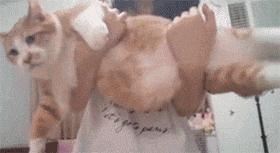 现在的小孩都那么不好哄的吗,现在的小孩不好管教