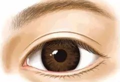 好看的双眼皮必须具备以下几点,真正做的好看的双眼皮是什么样子