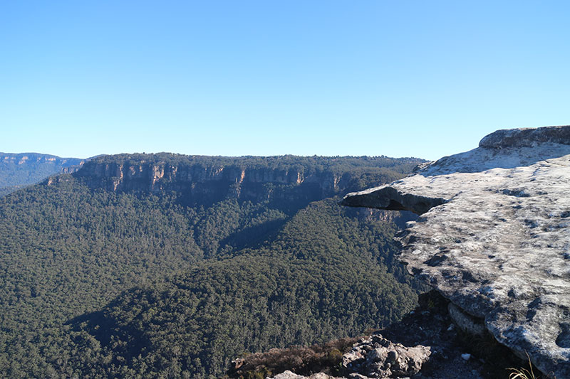 悉尼蓝山景点怎么样啊,悉尼蓝山一日游跟团