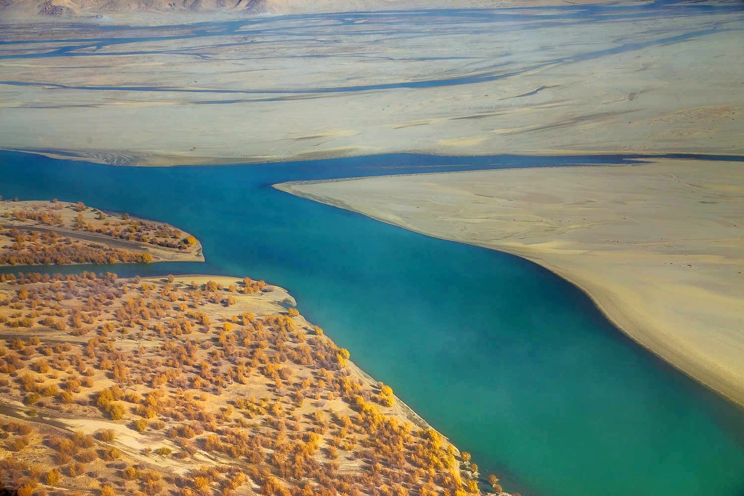 *藏西**的山石上，抱琴不愿归