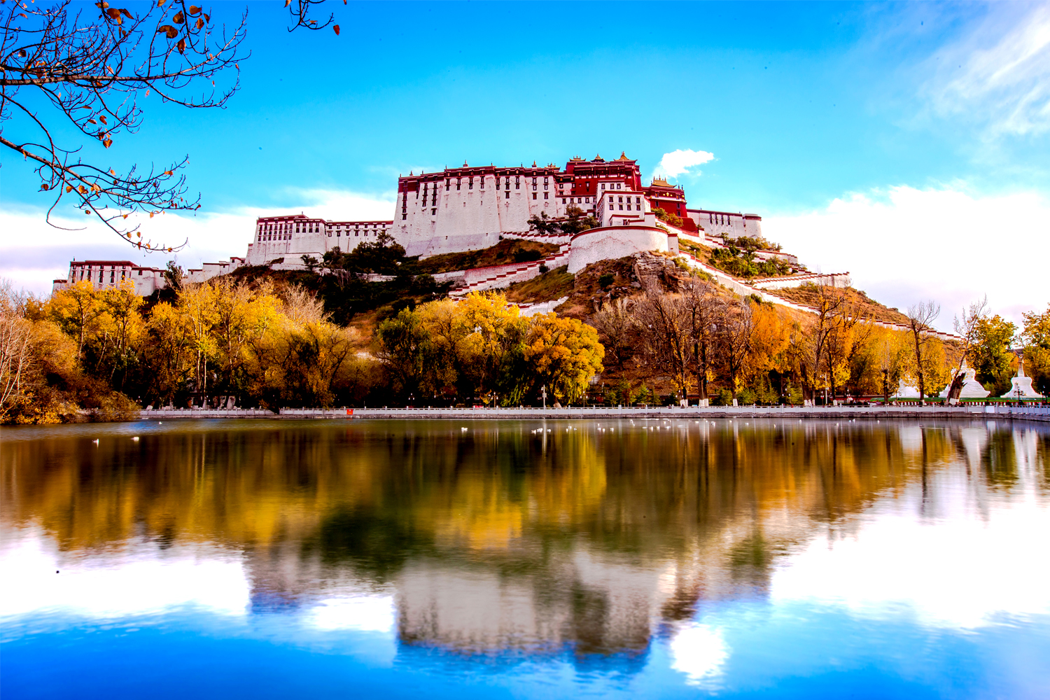 *藏西**的山石上，抱琴不愿归