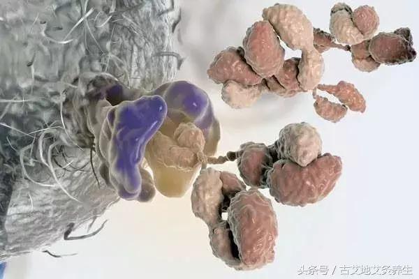 癌病的起因会出现什么现象,癌是哪类疾病