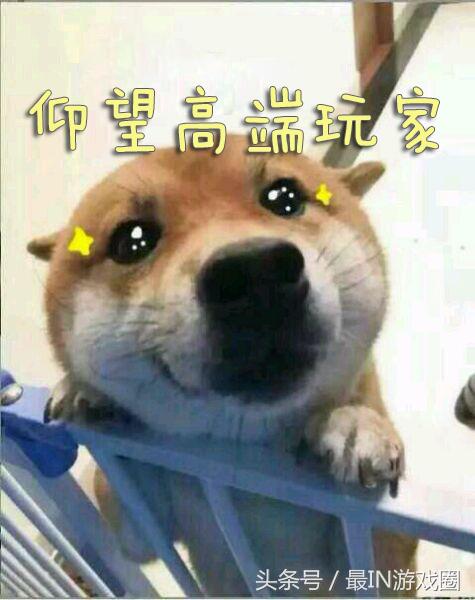 dnf现在还有属性白字伤害吗,dnf已经增幅的装备还能强化