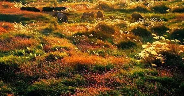 深圳高铁旅游路线分布图,深圳高铁能到达的旅游城市