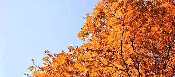 深圳高铁旅游路线分布图,深圳高铁能到达的旅游城市