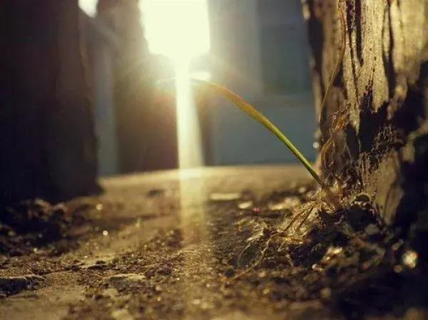 为什么你的工作这么惬意,不是工作太无趣而是你太被动