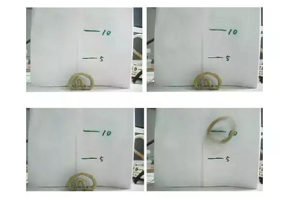 软体机器人的前沿与展望,软体机器人设计与理论的就业前景