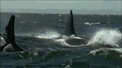 等了你十七年,等了17年