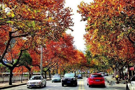 十堰茅箭区和张湾区谁更好,茅箭区和张湾区哪个房价贵