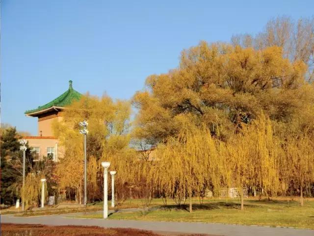 长春冬季最美拍照地,长春有一个很适合拍照的地方