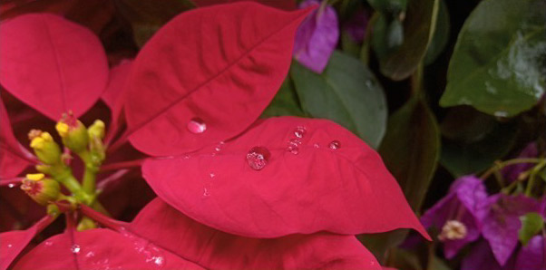 金立m7全网通,金立m7好用吗