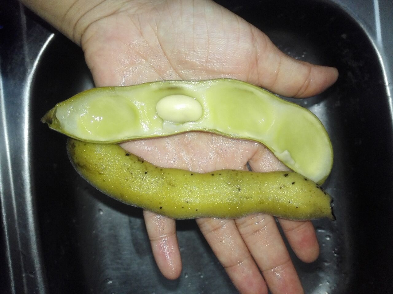 超级下饭菜豆角牛肉粒,超下饭的蒜苗牛肉粒