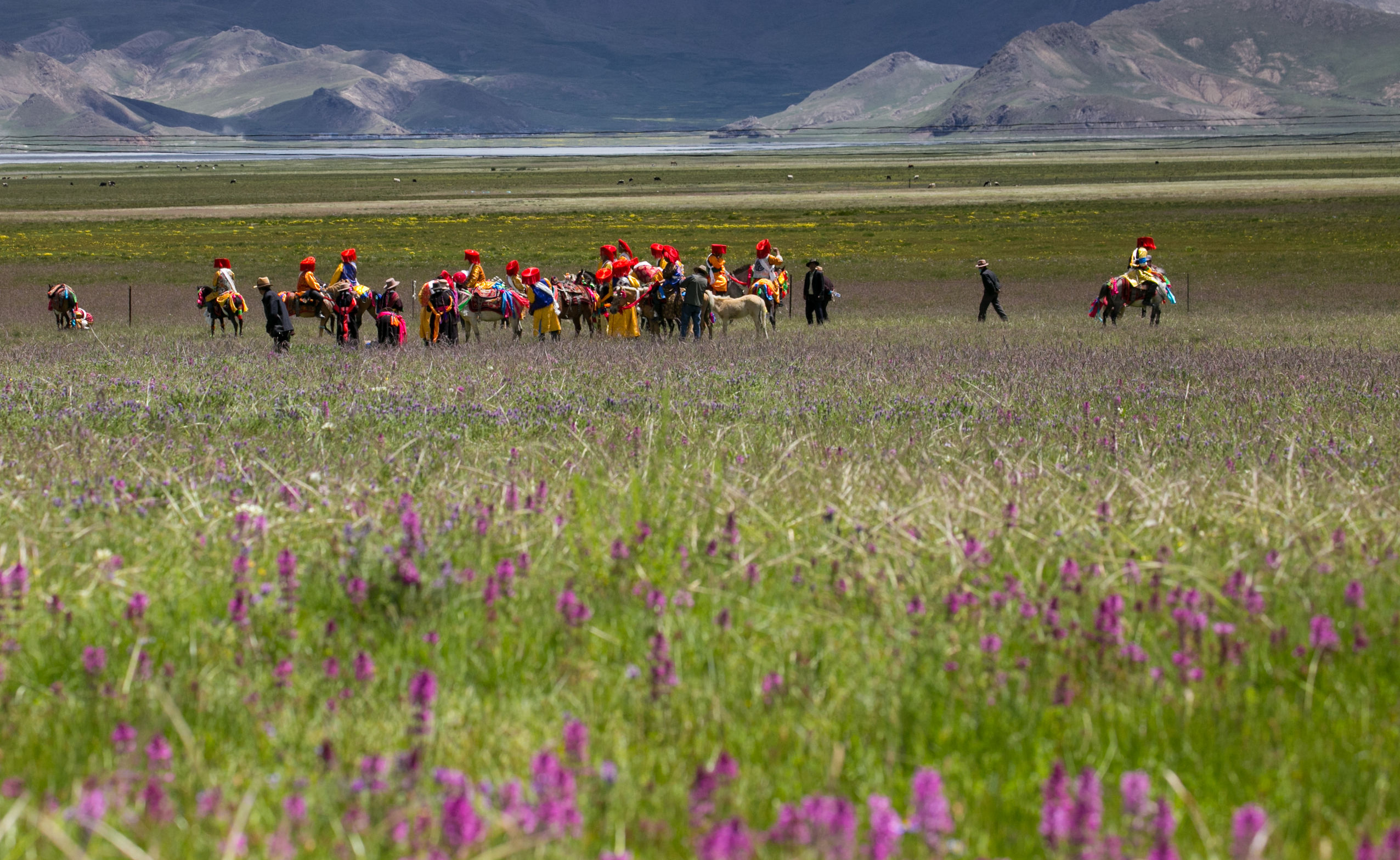 *藏西**的山石上，抱琴不愿归