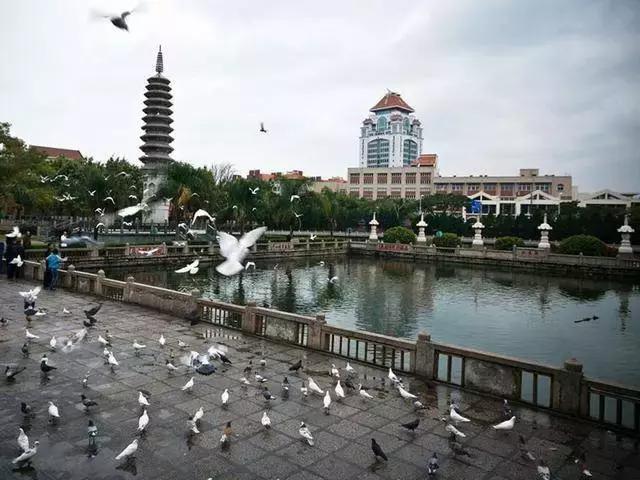 厦门旅游景点必去攻略自由行,厦门旅游攻略最好的城市自由行