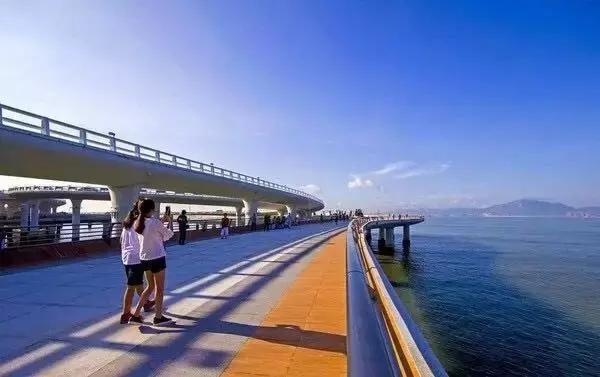 厦门旅游景点必去攻略自由行,厦门旅游攻略最好的城市自由行