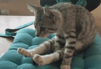 50个经典成语解释大全,成语解释大全及答案