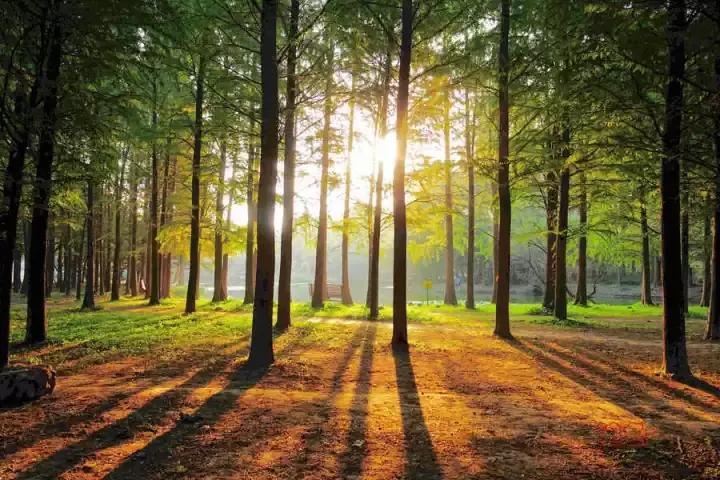 秦皇岛有什么意义,秦皇岛的意思是什么