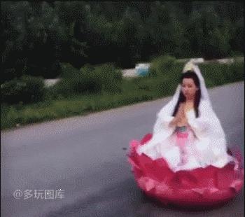 搞笑gif别惹我我疯起来自己都害怕,搞笑gif图一天天的就知道欺负我