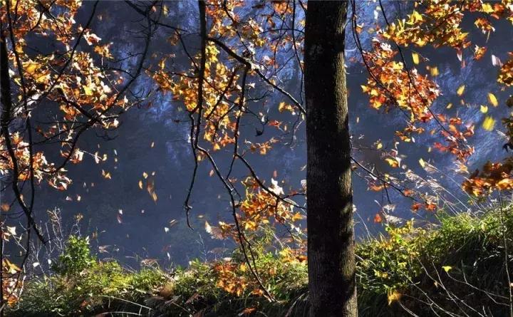 轮状病毒腹泻传播途径,轮状腹泻可以洗澡吗