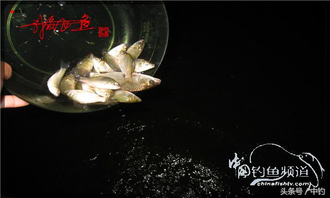 夜钓继续过小瘾,回家煲煲爱心粥