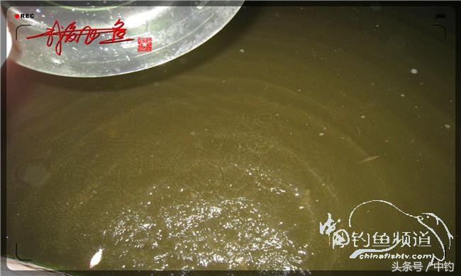 夜钓继续过小瘾,回家煲煲爱心粥