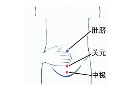 人体穴位大全全身高清穴位图,全身最重要的74个穴位讲解附图