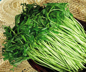 武汉12点：在武昌去网吧、旅店没带身份证？谁敢提供服务罚50万！