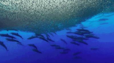 等了你十七年,等了17年